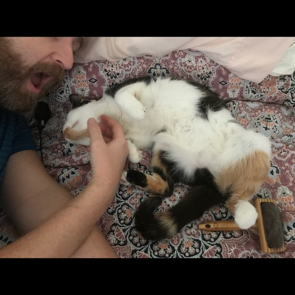 Meet your Posher, Danielle - Picture 6 of 6